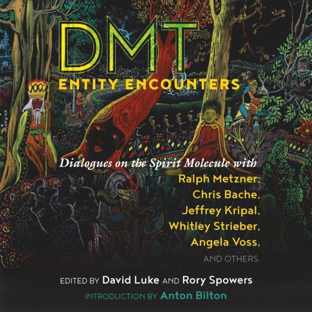 Rory Spowers, David Luke - DMT Entity Encounters, Ljudbok