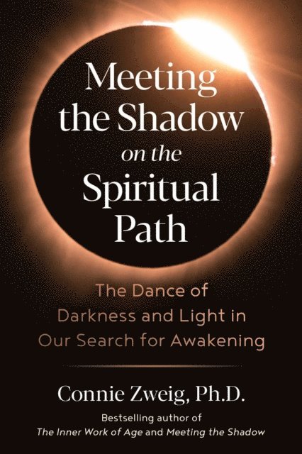 Connie Zweig - Meeting the Shadow on the Spiritual Path, E-bok