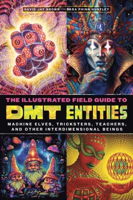 Sara Phinn Huntley, David Jay Brown - Illustrated Field Guide to DMT Entities, E-bok