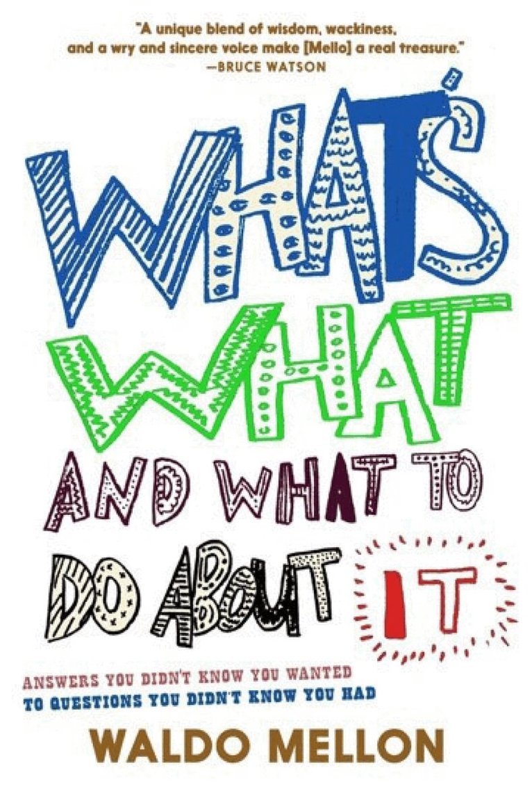 Waldo Mellon - What's What and What to Do About It, Inbunden