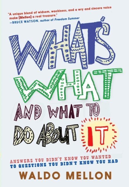 Waldo Mellon - What's What and What to Do About It, E-bok