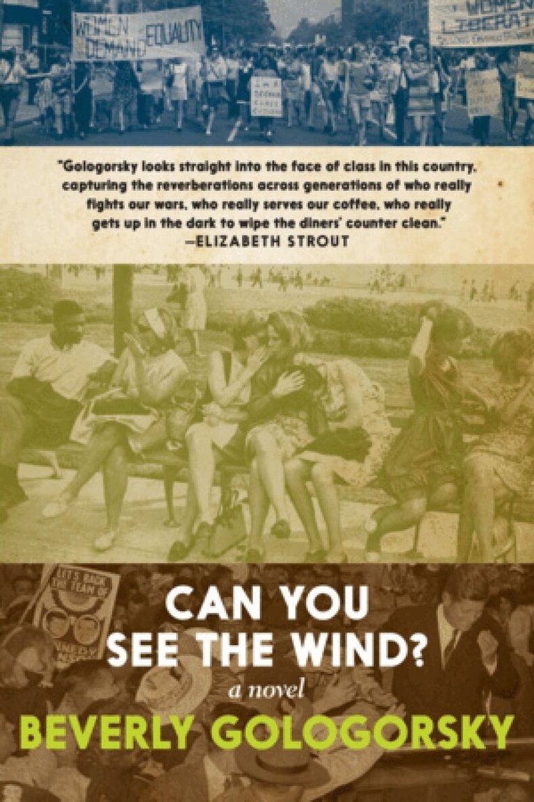 Beverly Gologorsky - Can You See the Wind?, Häftad