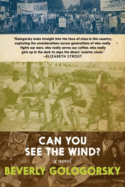Beverly Gologorsky - Can You See the Wind?, E-bok
