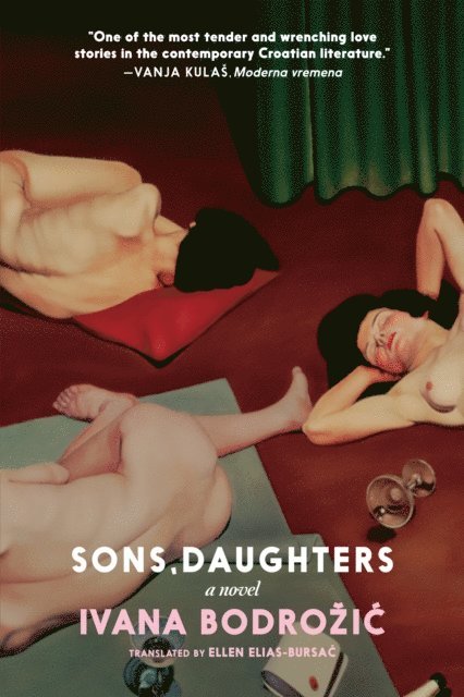 Ivana Bodrozic - Sons, Daughters, E-bok