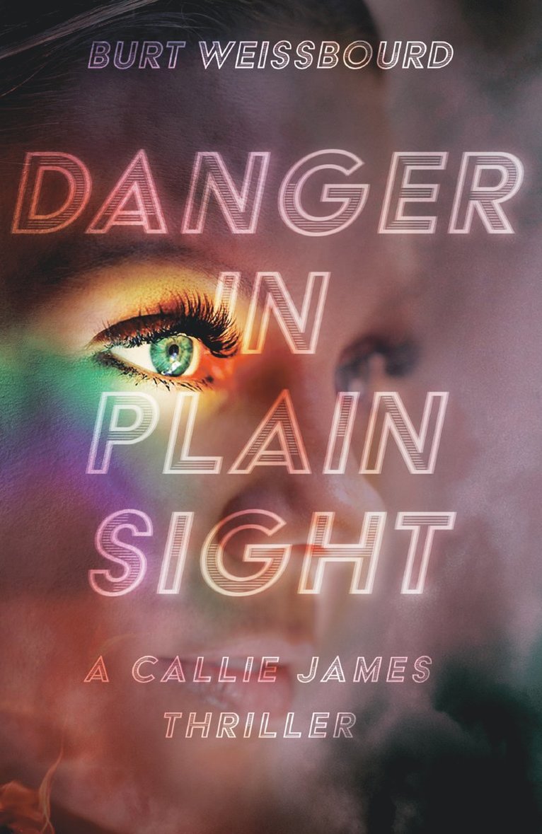 Burt Weissbourd - Danger in Plain Sight, Häftad
