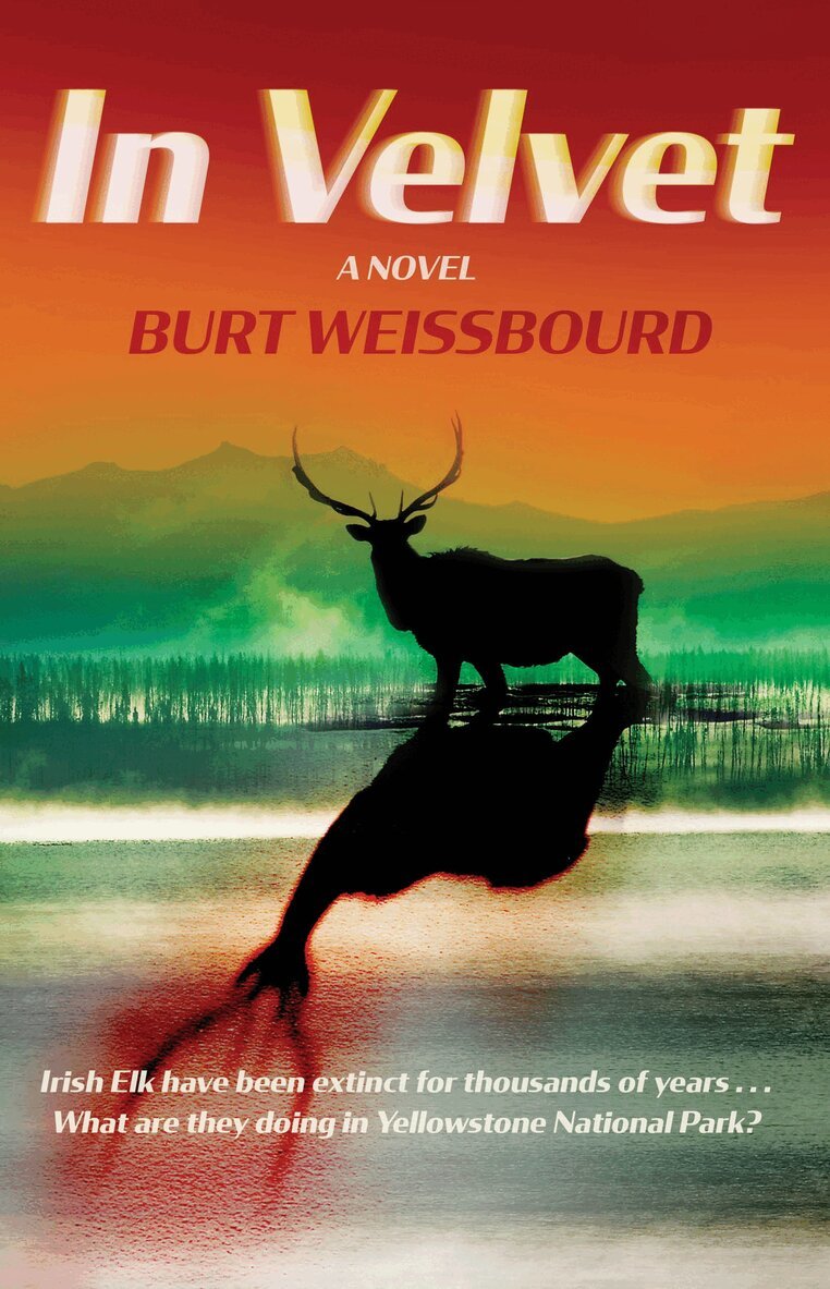 Burt Weissbourd - In Velvet, Inbunden