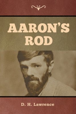D H Lawrence - Aaron's Rod, Häftad