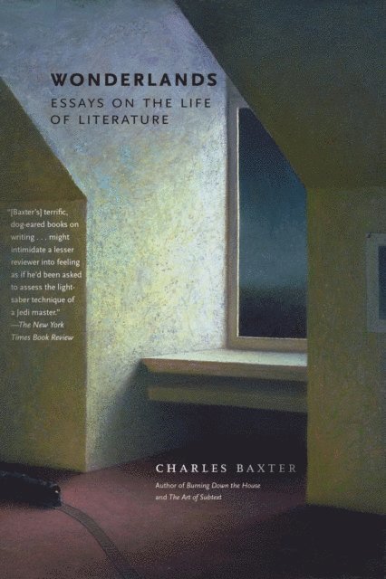 Charles Baxter - Wonderlands, E-bok