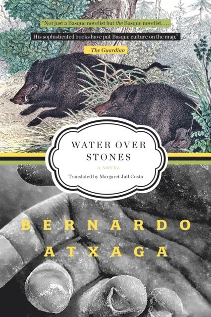 Bernardo Atxaga - Water over Stones, E-bok