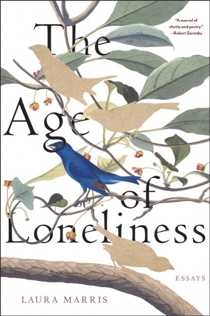 Laura Marris - Age of Loneliness, E-bok
