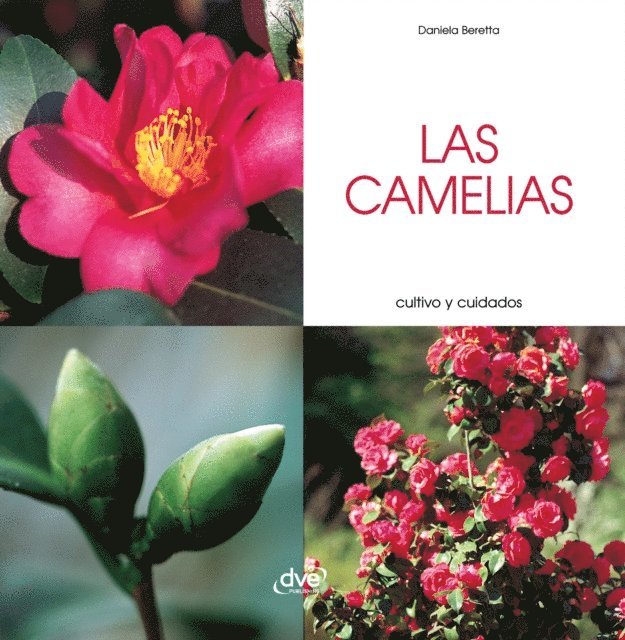 Daniela Beretta - Las camelias - Cultivo y cuidados, E-bok. Tillgänglighet: Lägg i varukorg