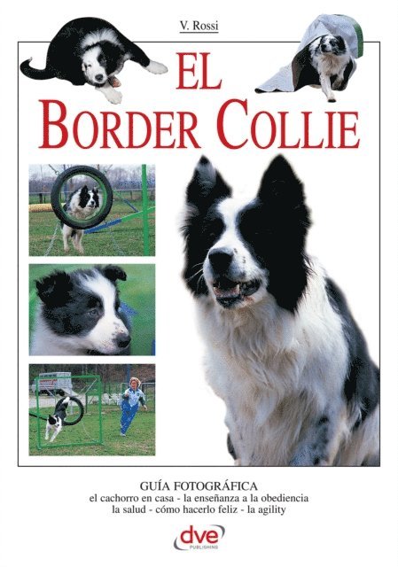 Valeria Rossi - El border collie, E-bok. Tillgänglighet: Lägg i varukorg