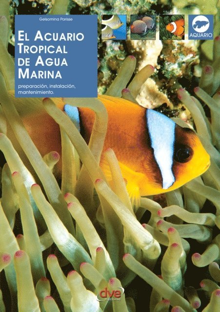 Gelsomina Parisse - El acuario tropical de agua marina, E-bok. Tillgänglighet: Lägg i varukorg