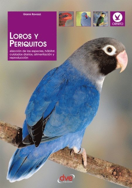 Gianni Ravazzi - Loros y periquitos, E-bok. Tillgänglighet: Lägg i varukorg