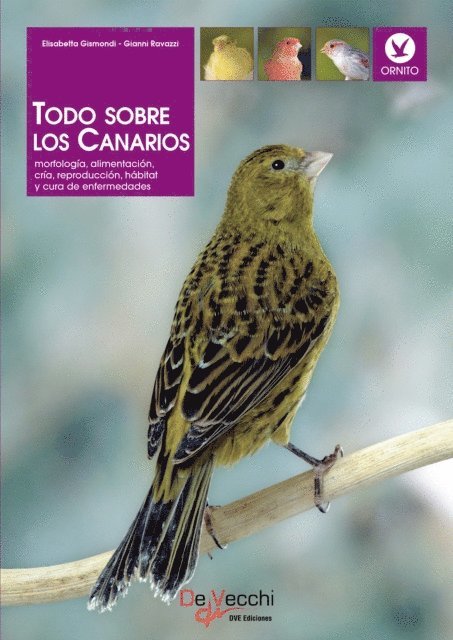 Gianni Ravazzi, Elisabetta Gismondi - Todo sobre los Canarios. Morfología, alimentación, cría, reproducción, hábitat y cura de enfermedades, E-bok. Tillgänglighet: Lägg i varukorg