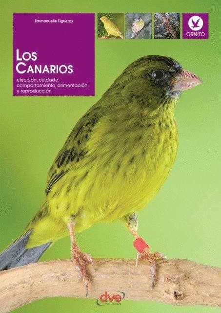Emmanuelle Figueras - Los canarios. Elección, cuidado, comportamiento, alimentación y reproducción, E-bok. Tillgänglighet: Lägg i varukorg