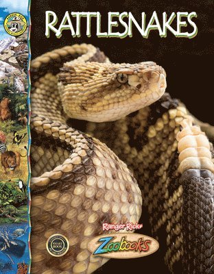 Beth Wagner Brust, Bob Dorn - Rattlesnakes, Inbunden