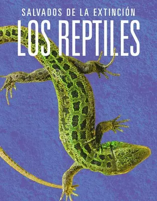 Joanne Mattern - Los Reptiles: Salvados de la Extinción, Häftad. Tillgänglighet: Lägg i varukorg