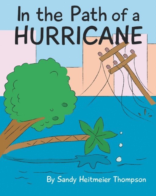 Sandy Heitmeier Thompson - In the Path of a Hurricane, E-bok