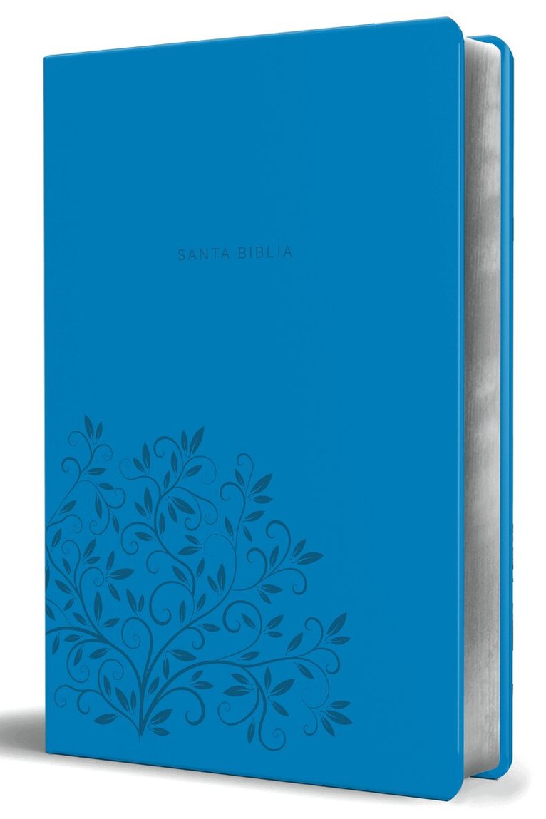 Reina Valera Revisada 1960 - Biblia Reina Valera 1960 letra grande. Símil piel azul, tamaño manual / Spanish Holy Bible RVR 1960. Handy Size, Large Print, Blue Leathersoft, Häftad. Tillgänglighet: Lägg i varukorg