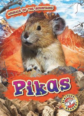 Lindsay Shaffer - Pikas, Inbunden