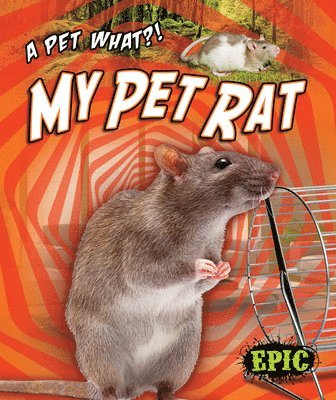 Paige V. Polinsky - My Pet Rat, Inbunden