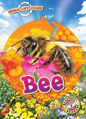 Rebecca Sabelko - Animal Life Cycles: Bee, Inbunden. Tillgänglighet: Tillfälligt slut