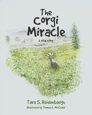 Corgi Miracle