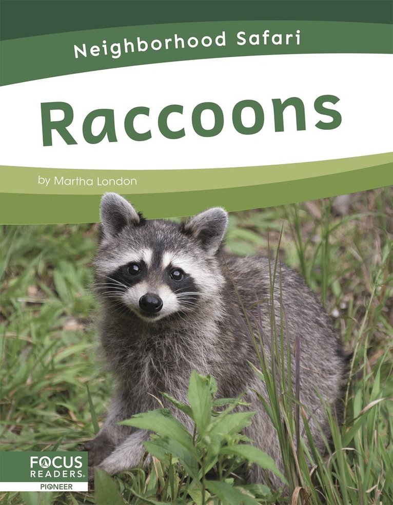 Martha London - Raccoons, Häftad