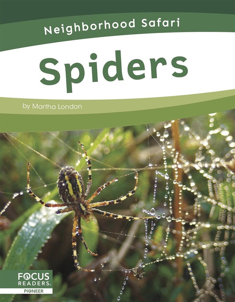 Martha London - Spiders, Häftad