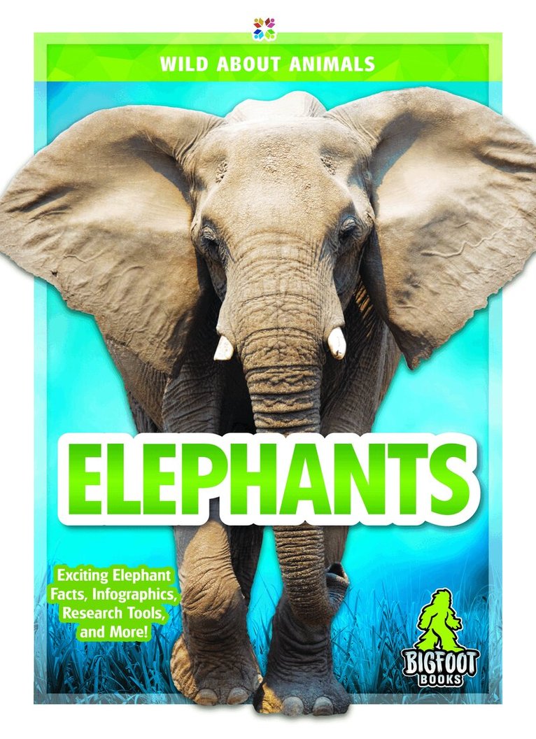 Emma Huddleston - Elephants, Häftad. Tillgänglighet: Lägg i varukorg