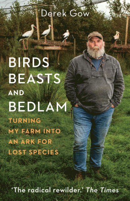 Derek Gow - Birds, Beasts and Bedlam, E-bok