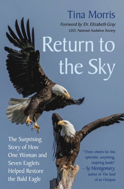 Tina Morris - Return to the Sky, E-bok