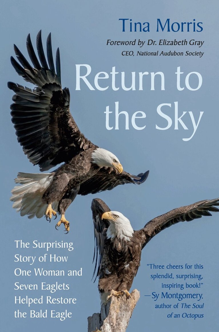 Tina Morris, Elizabeth Gray - Return to the Sky, Häftad