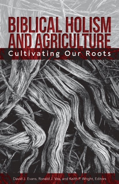 Keith P. Wright, Ronald J. Vos, David J. Evans - Biblical Holism and Agriculture (Revised Edition), E-bok