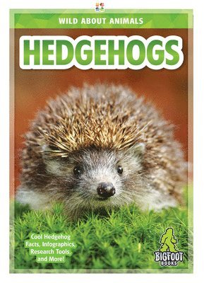 Emma Huddleston - Hedgehogs, Inbunden. Tillgänglighet: Tillfälligt slut