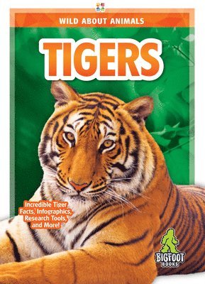 Emma Huddleston - Tigers, Inbunden. Tillgänglighet: Lägg i varukorg