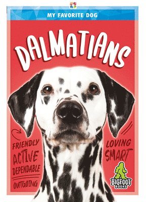 Jim Whiting - Dalmatians, Inbunden
