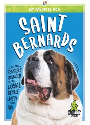 K. C. Kelley - Saint Bernards, Inbunden