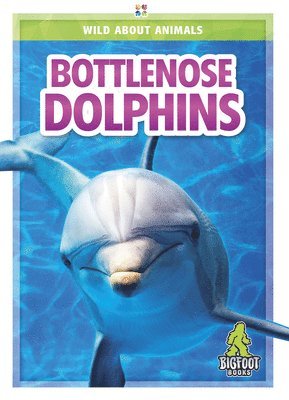 Renata Marie - Bottlenose Dolphins, Inbunden