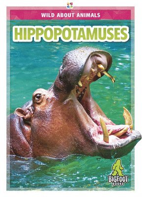 Rhonda E. Nichols - Hippopotamuses, Inbunden