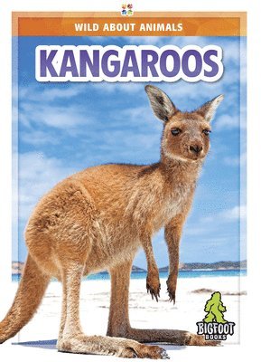 Renata Marie - Kangaroos, Inbunden