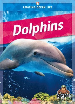 Colleen Sexton - Dolphins, Inbunden