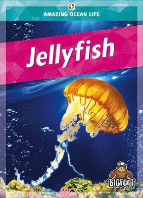 Colleen Sexton - Jellyfish, Inbunden