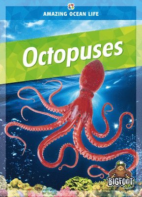 Colleen Sexton - Octopuses, Inbunden
