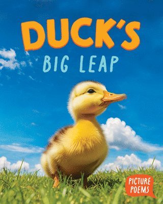Elizabeth Clark - Duck's Big Leap, Inbunden
