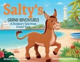 Gemely Lubin - Salty's Grand Adventures, Häftad. Tillgänglighet: Lägg i varukorg