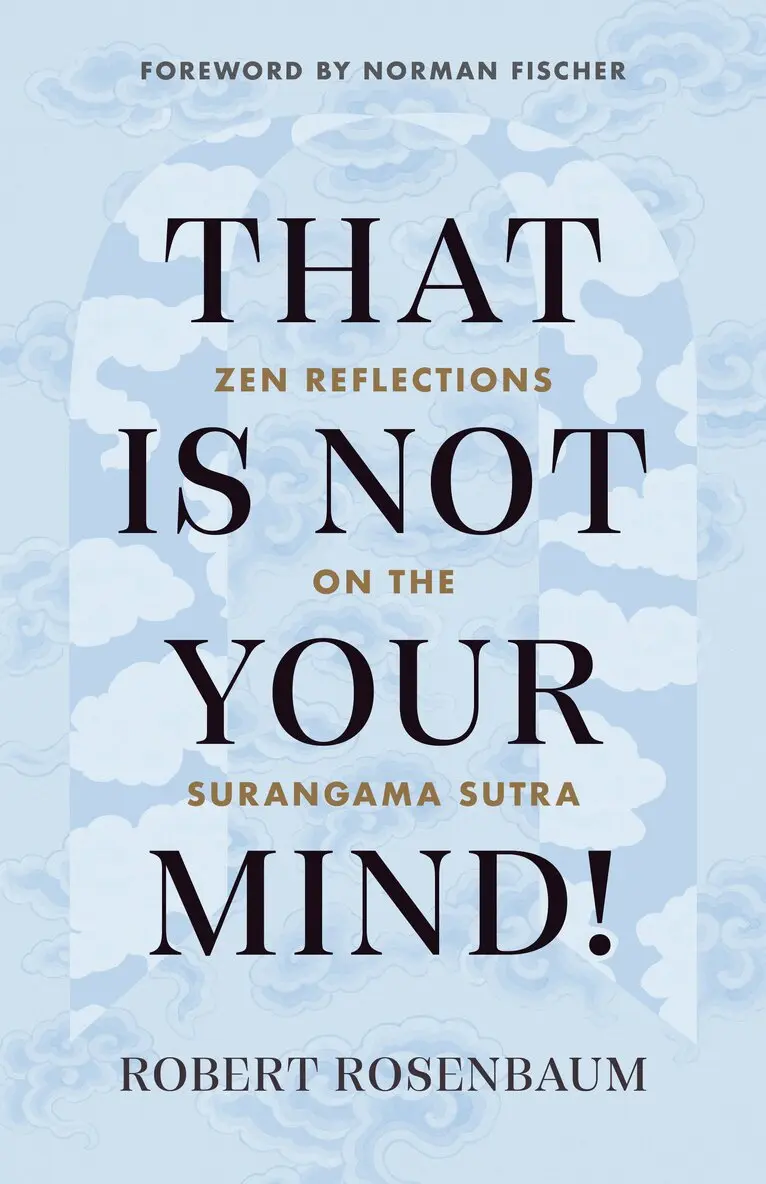 Robert Rosenbaum - That Is Not Your Mind!, Häftad. Tillgänglighet: Lägg i varukorg