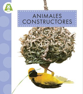Golriz Golkar - Animales Constructores, Inbunden