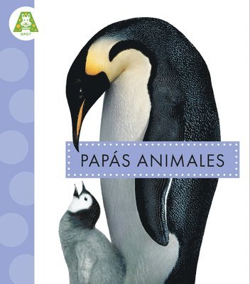 Mari C. Schuh - Papás Animales, Inbunden